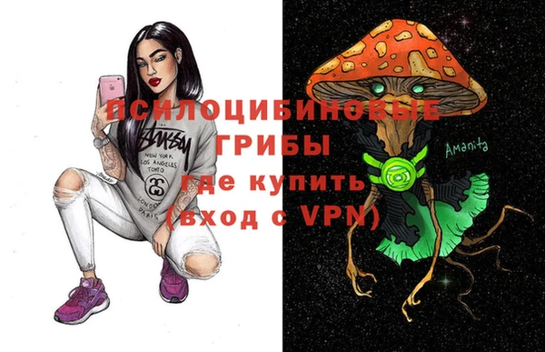 mdpv Гусиноозёрск