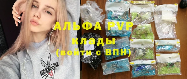 дурь Гусев