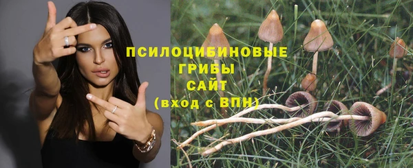 дурь Гусев