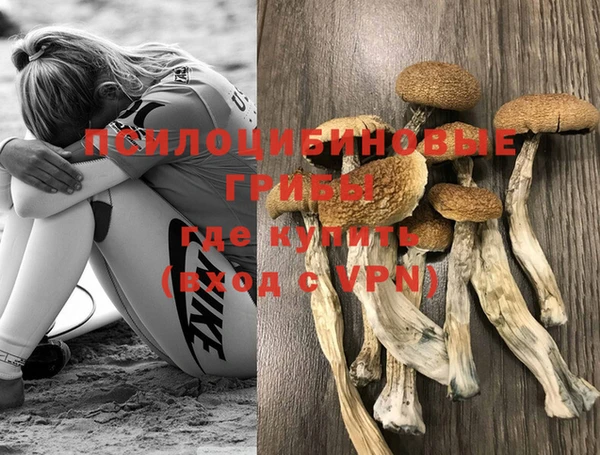 mdpv Гусиноозёрск