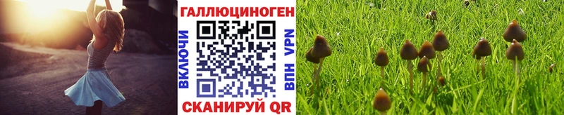 Галлюциногенные грибы мухоморы  Пролетарск 